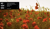 NOVEMBRO — Site of the Day - Jul 24, 2010 website design