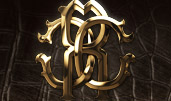 Roberto Cavalli award-winning website design screenshot 1