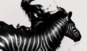 Image The Music — Site of the Day - Feb 8, 2011 website design