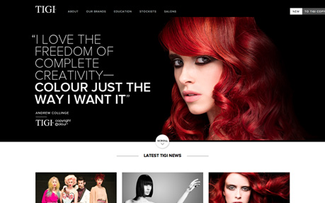 TIGI Professional
