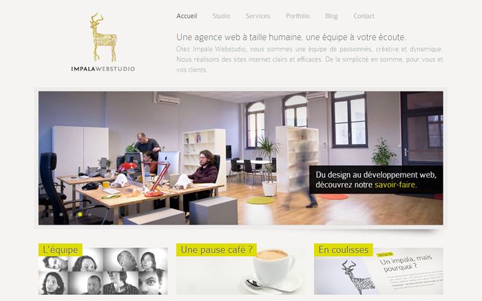 Impala Webstudio award-winning website design screenshot 1