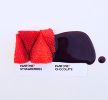 Pantone Pairings Project by David Schwen