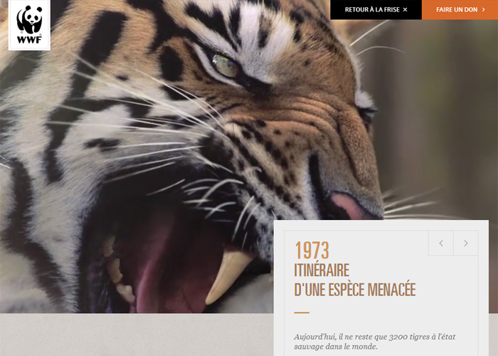 WWF- 40 ans d’engagement