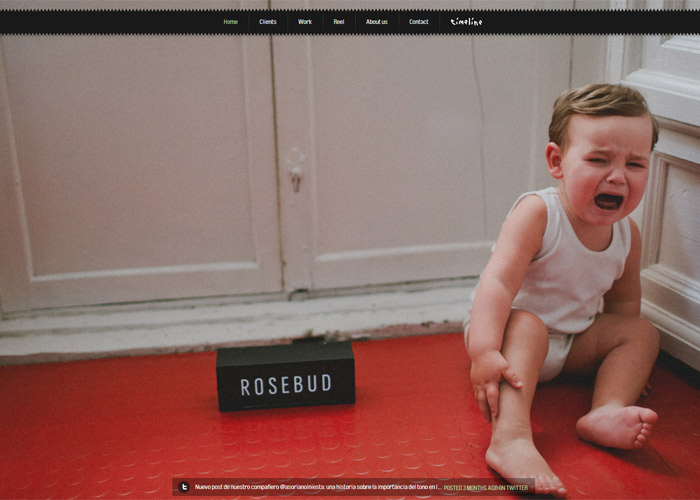 Rosebud corporate site