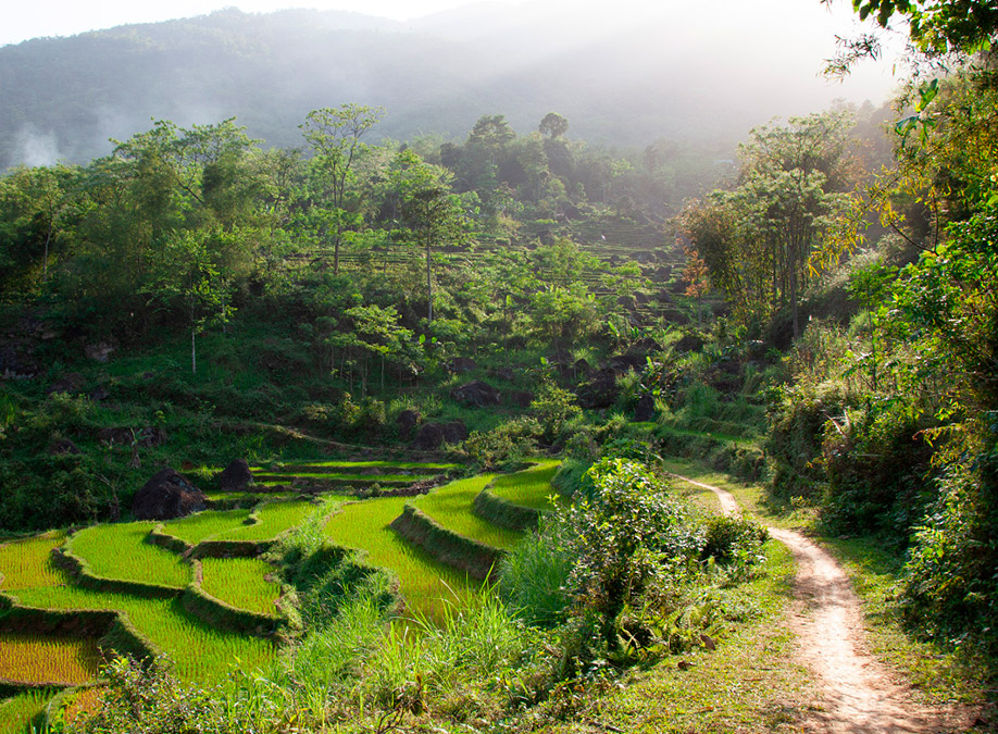 The Wandering Designer: Vietnam, the beauty of balance.