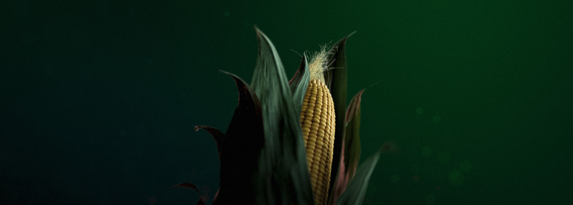 Resn s Pioneer Corn Revolutionized Wins Site Of The Month July 2020 Resn s Pioneer Corn Revolutionized Wins Site Of The Month July 2020