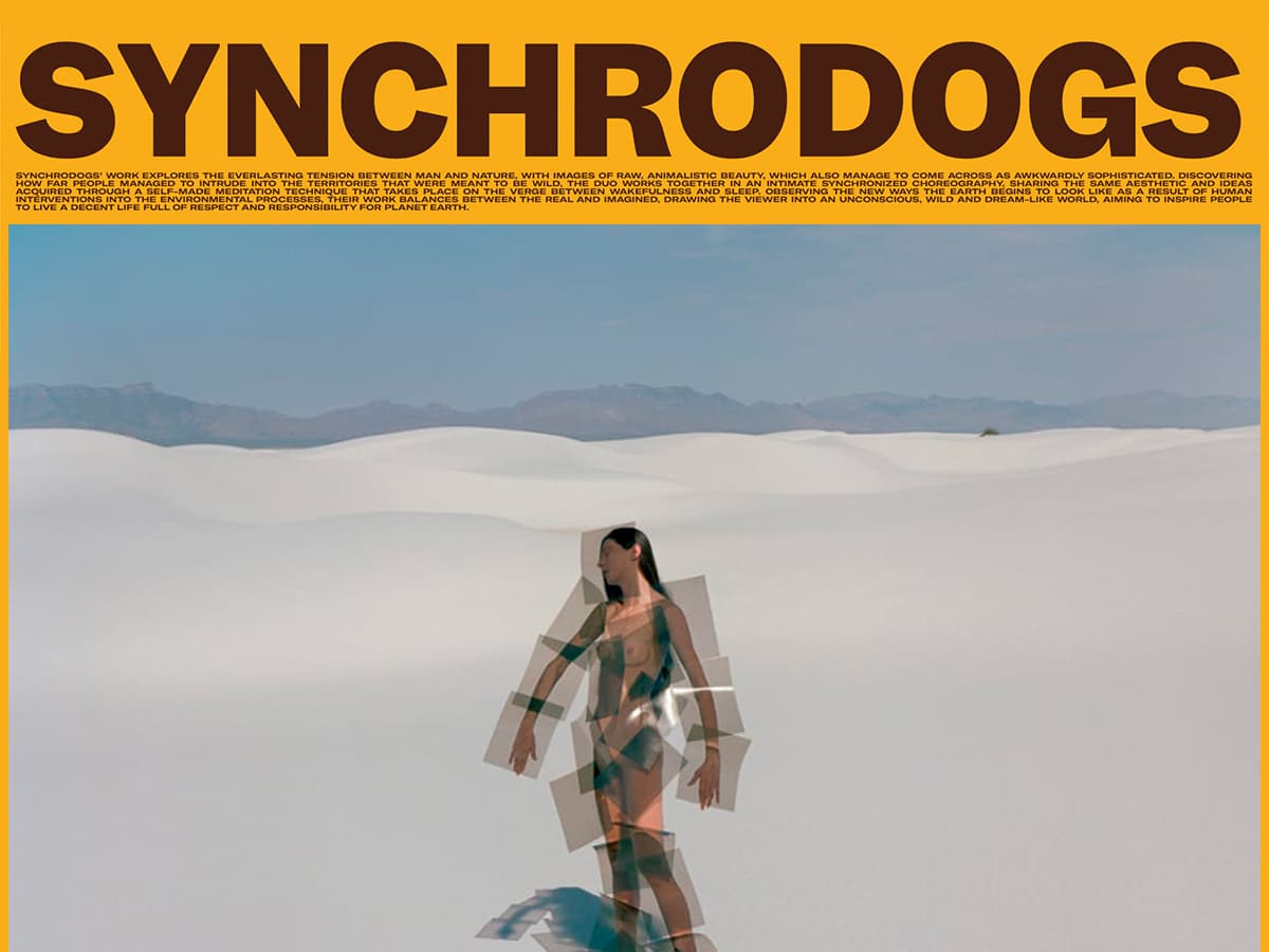 The Synchrodogs portfolio wins Site of the Month August