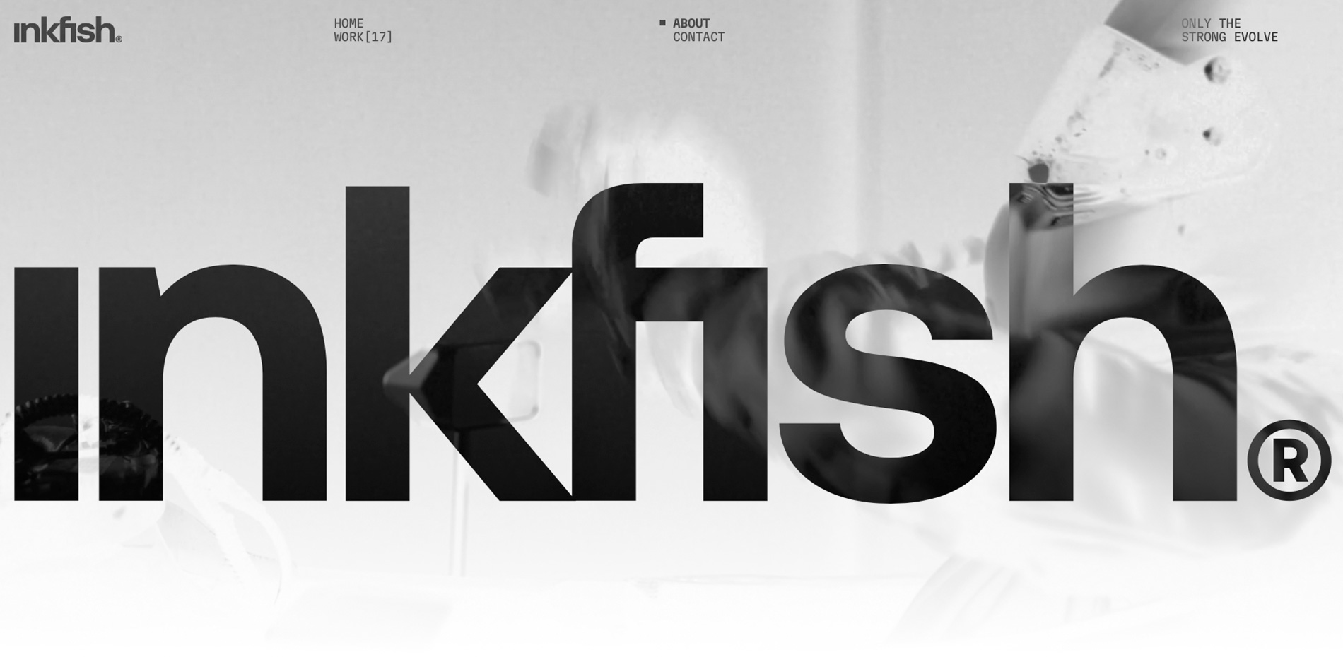 Inkfish wins Site of the Month May