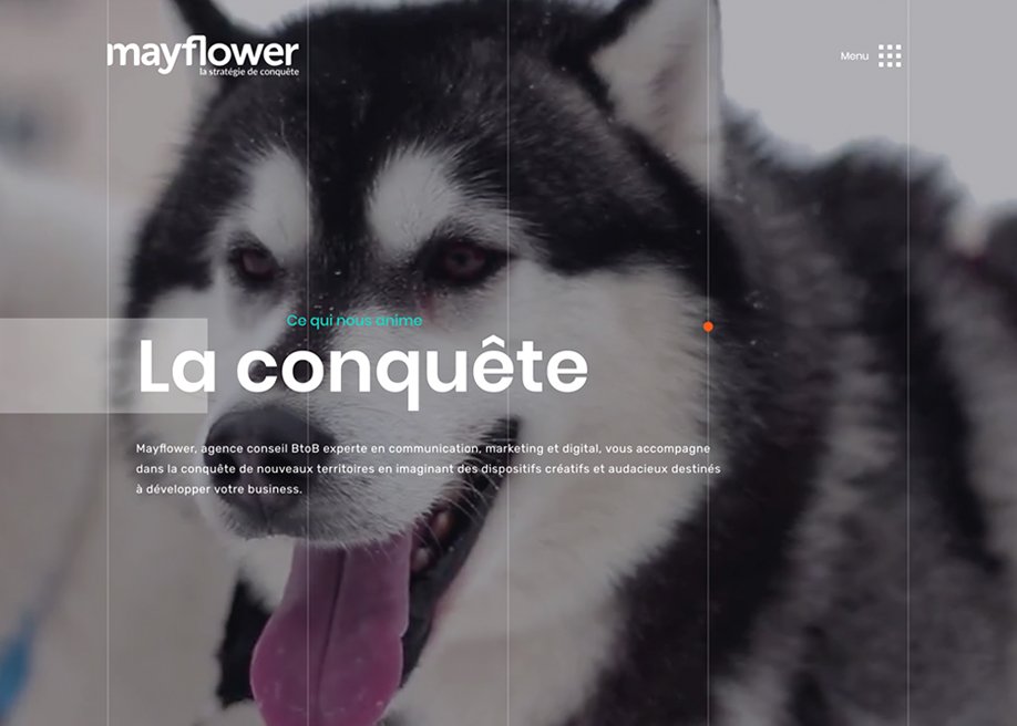 Agence Mayflower