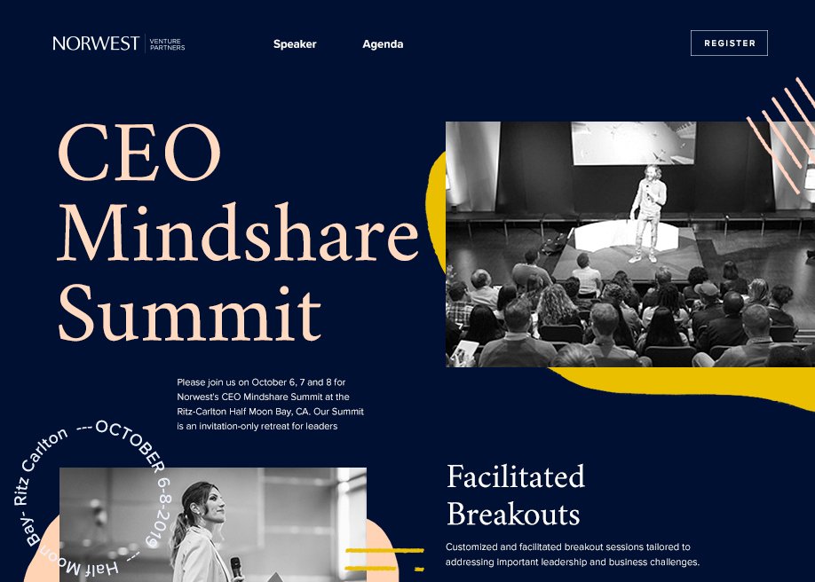 NVP: CEO Mindshare Summit