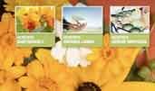 Gardening company
