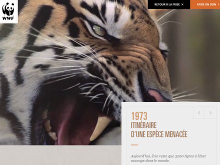 WWF- 40 ans d’engagement by WWF-France