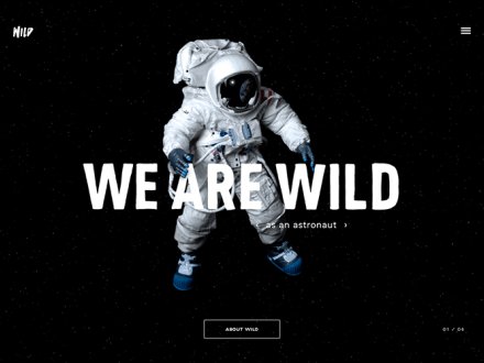 WILD by WILD