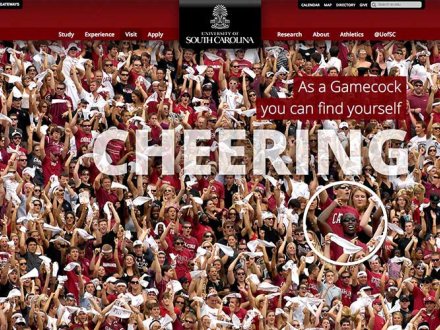 University of South Carolina by Charvey