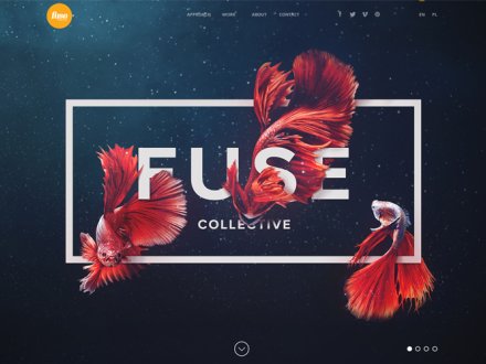 Fuse Collective | Creative Design and Production Studio by Fuse Collective