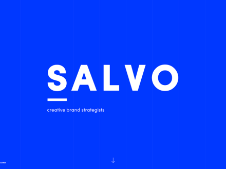 SALVO by MINSKY