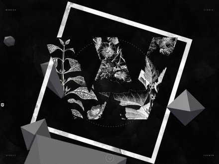 WAWv2 by Wanaka