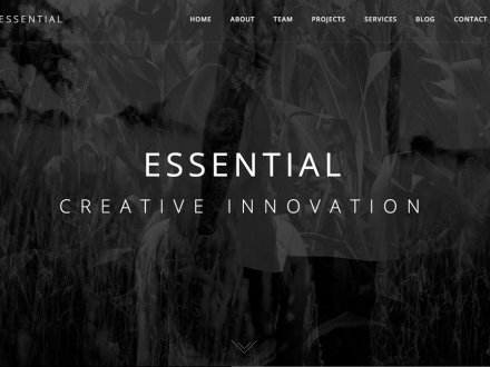 Essential by Riccardo Borchi