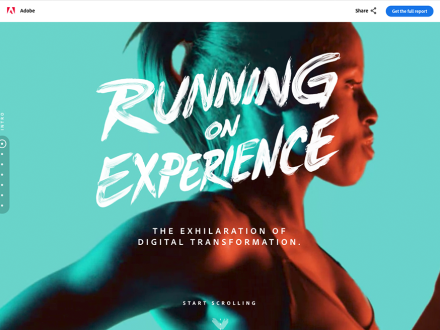Adobe Digital Marketing Study by Thinkingbox