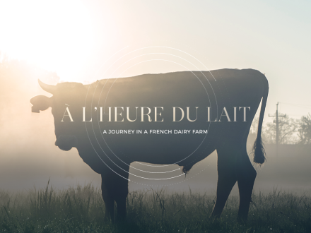 À l'heure du lait by Sweetpunk