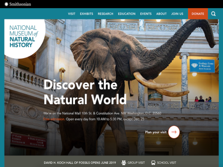 Smithsonian NMNH by ccrawley