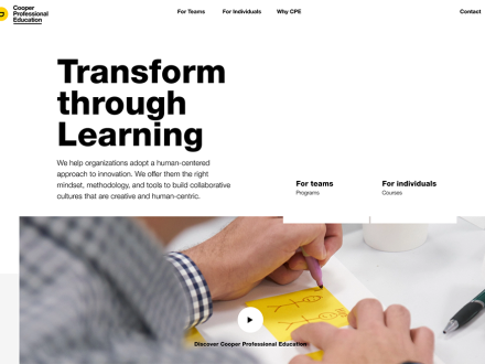 Cooper Professional Education by Karalyte
