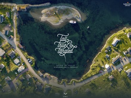 Tall True & Tangled by Jordan Finlayson