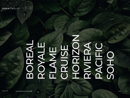 Annatwelve - Fragrances by Adoratorio Studio