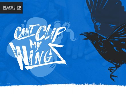 Blackbird Cigar Co. by Absolute Web