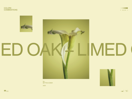 Colors combinations by Obys