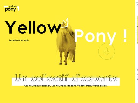 Yellow Pony by Boite à Oeufs