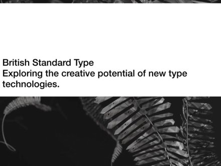 British Standard Type by British Standard Type