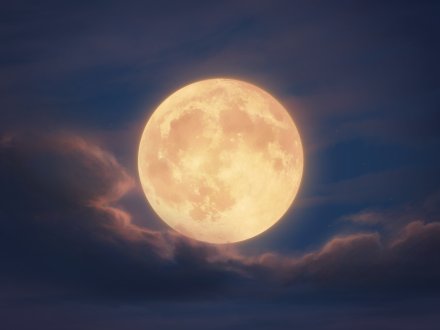 Mid-Autumn Festival by The Agency of Wargaming