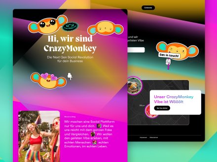 CrazyMonkey by Zehigel
