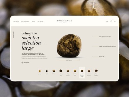 Rossini Caviar by Checkmate Digitalt Bureau