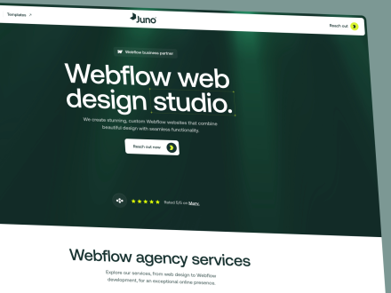Juno studio by veljko-ilic