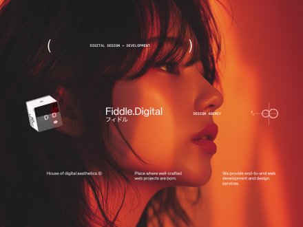 Fiddle.Digital Design Agency