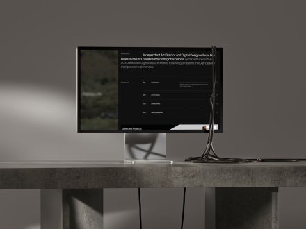 Martin Briceno - Portfolio