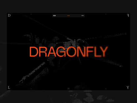 Dragonfly Redux