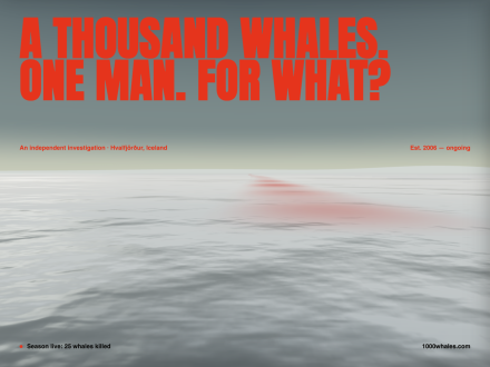 1000 Whales