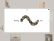 Our Sites of the Month