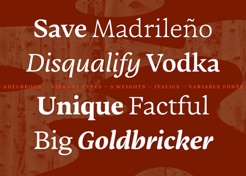 ITC Garamond Light Narrow Best Fonts Awwwards