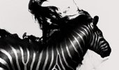Image The Music