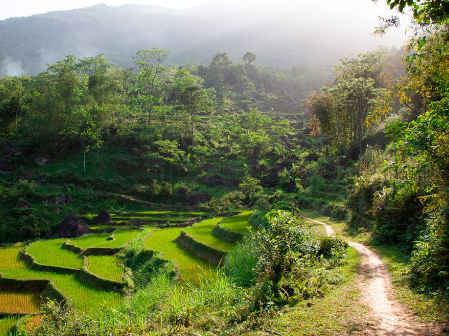 The Wandering Designer: Vietnam, the beauty of balance.