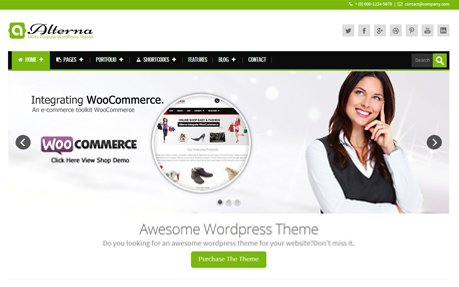 Alterna - Retina Responsive Multi-Purpose WordPress Theme