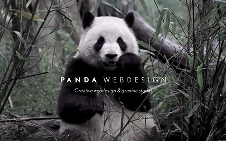Panda Webdesign