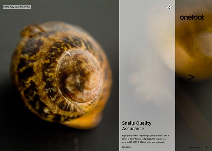 onefoot - snail farming