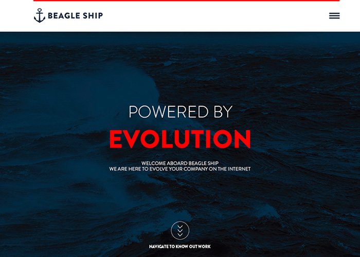 Beagle Ship