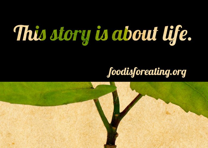 Food Is For Eating