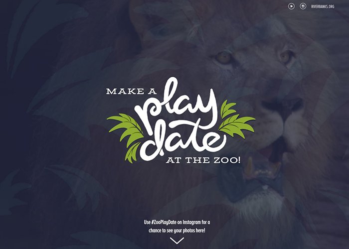Zoo Play Date